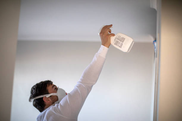 Best Same-Day Mold Removal  in Castle Pines, CO
