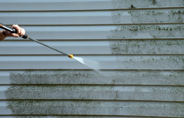 Best Attic Mold Removal  in Castle Pines, CO