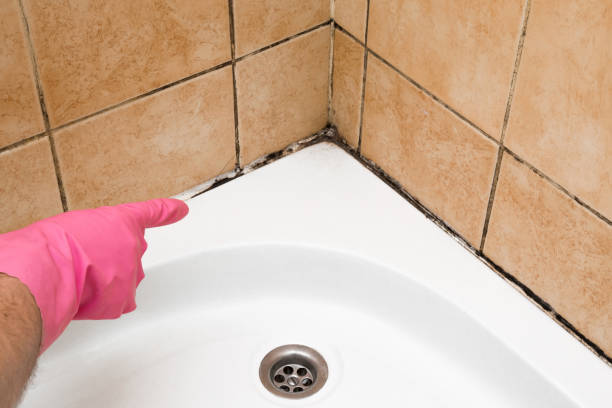 Best Mold Testing  in Castle Pines, CO